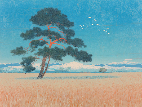 Spruce Developer Update #2